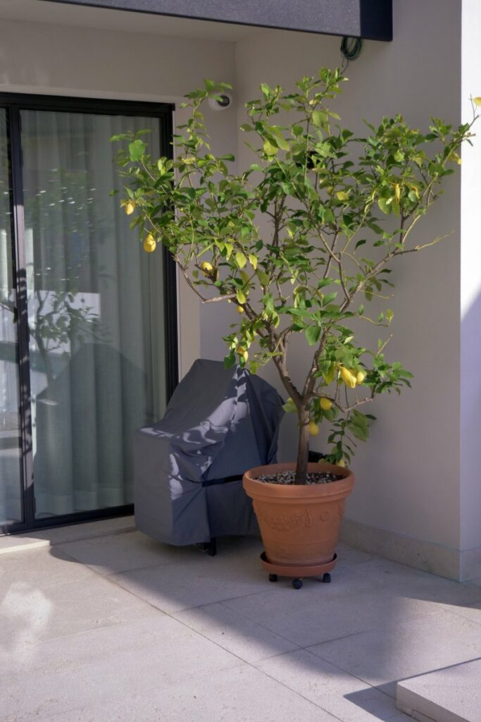 Product Care And Maintenance 18 Nardi outdoor furniture cover small (s, 4-6 chairs)