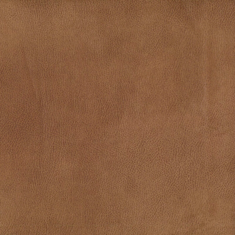 Warwick Fabrics - Eastwood Tan Texture