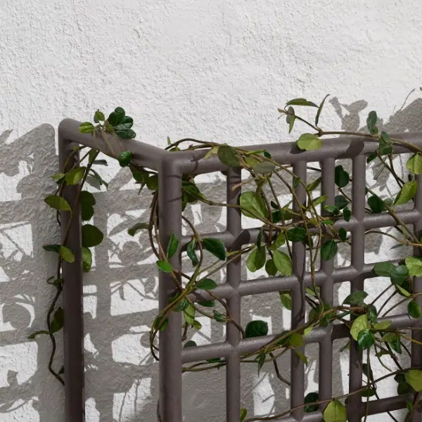 Home 13 Accessories category